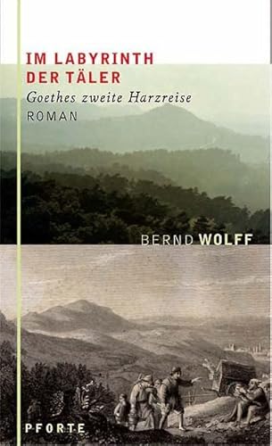 Im Labyrinth der Täler: Goethes zweite Harzreise. Roman
