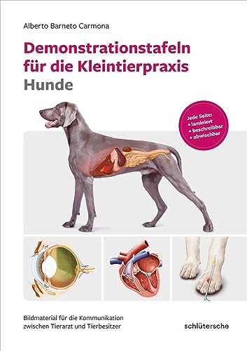 Demonstrationstafeln für die Kleintierpraxis Hunde: Bildmaterial für die Kommunikation zwischen Tierarzt und Tierbesitzer. Jede Seite: laminiert, beschreibbar, abwischbar