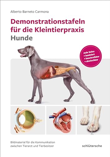 Demonstrationstafeln für die Kleintierpraxis Hunde: Bildmaterial für die Kommunikation zwischen Tierarzt und Tierbesitzer. Jede Seite: laminiert, beschreibbar, abwischbar