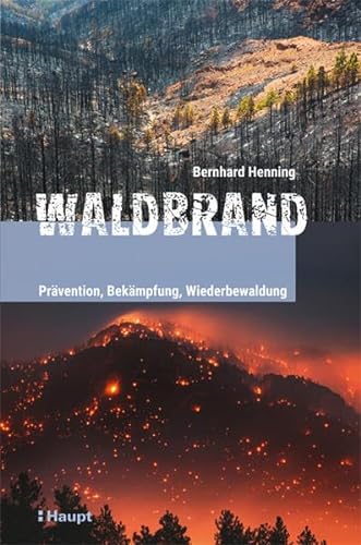Waldbrand: Prävention, Bekämpfung, Wiederbewaldung von Haupt Verlag AG