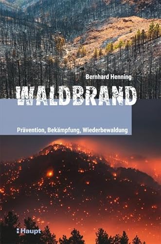 Waldbrand: Prävention, Bekämpfung, Wiederbewaldung