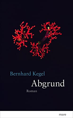 Abgrund: Roman
