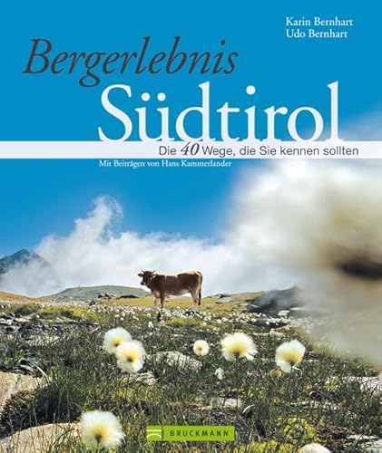Bergerlebnis Südtirol: Die 40 Wege, die Sie kennen sollten