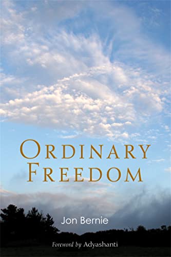 Ordinary Freedom von Non-Duality