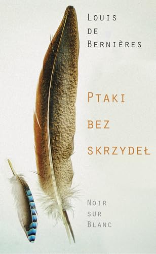 Ptaki bez skrzydeł Ptaki bez skrzydeł von Noir Sur Blanc