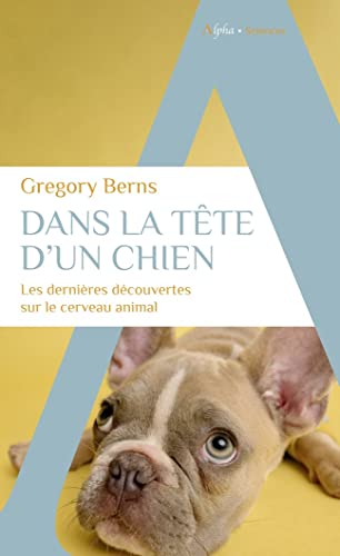 Dans la tête d'un chien: Les dernières découvertes sur le cerveau animal