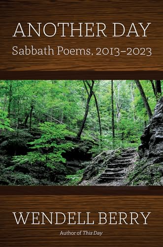 Another Day: Sabbath Poems 2013-2023 von CATAPULT