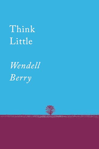 Think Little: Essays (Counterpoints, Band 1)