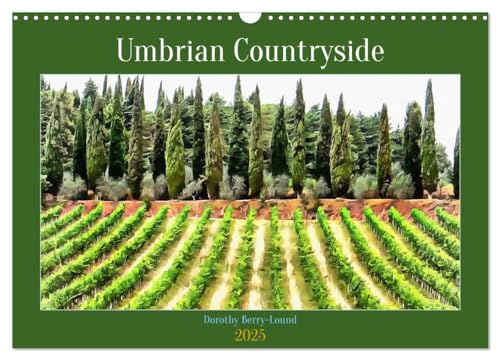 Umbrian Countryside (Wall Calendar 2025 DIN A3 landscape), CALVENDO 12 Month Wall Calendar: Beautiful photo art views of the countryside in Umbria at different times of the year
