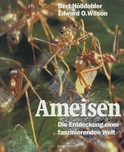 Ameisen: Die Entdeckung einer faszinierenden Welt von Birkhäuser