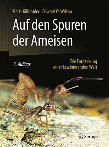Auf den Spuren der Ameisen: Die Entdeckung einer faszinierenden Welt von Springer Spektrum