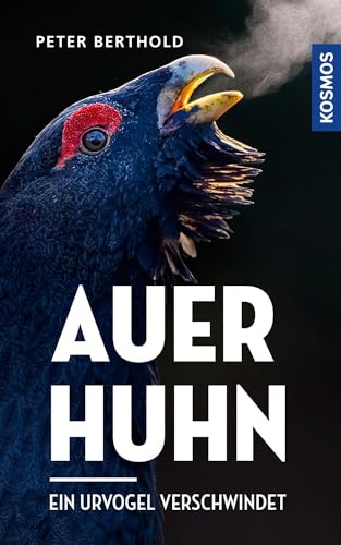 Auerhuhn: Ein Urvogel verschwindet