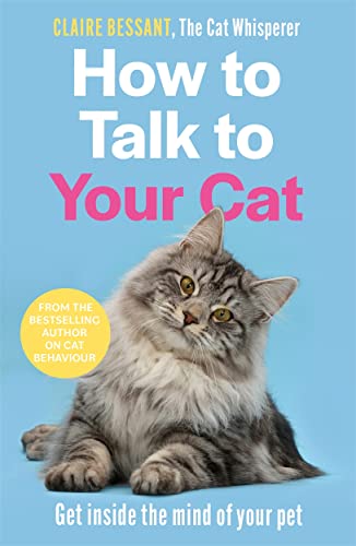 How to Talk to Your Cat: Get inside the mind of your pet - From the bestselling author of The Cat Whisperer von John Blake