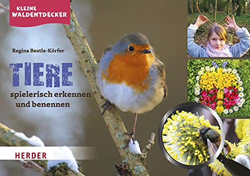 Kleine Waldentdecker: Tiere: spielerisch erkennen und benennen von Herder Verlag GmbH