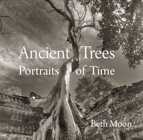 Ancient Trees: Portraits of Time von Abbeville Press