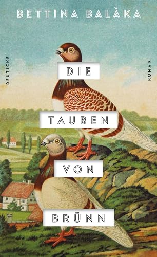 Die Tauben von Brünn: Roman von Zsolnay-Verlag