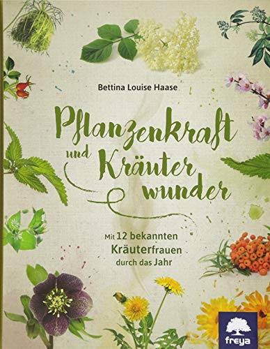 Pflanzenkraft und Kräuterwunder: Mit zwölf bekannten Kräuterfrauen durch das Jahr