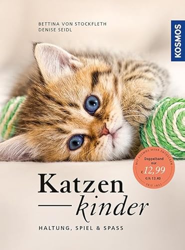 Katzenkinder: Haltung, Spiel & Spaß