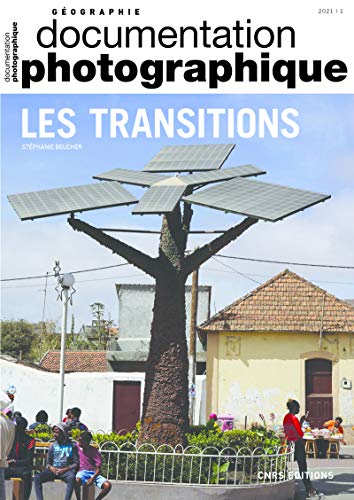 Les Transitions DP8139 von CNRS EDITIONS