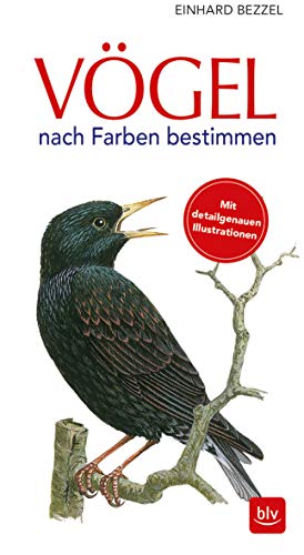 Vögel nach Farben bestimmen Vögel nach Farben bestimmen