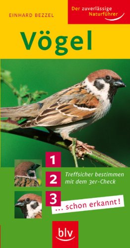 Vögel: Treffsicher bestimmen mit dem 3er-Check 1... 2... 3... ...schon erkannt! Vögel: Treffsicher bestimmen mit dem 3er-Check 1... 2... 3... ...schon erkannt!