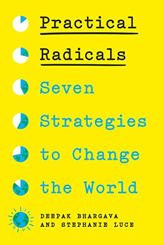 Practical Radicals: Seven Strategies to Change the World von The New Press