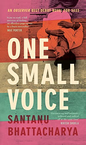 One Small Voice: An Observer best debut novel for 2023