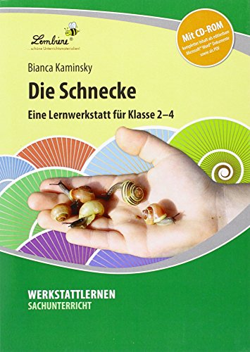 Die Schnecke: (2. bis 4. Klasse)