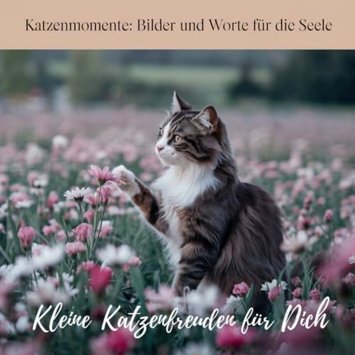 Katzenmomente: Bilder und Worte für die Seele: Kleine Katzenfreuden für Dich von Independently published