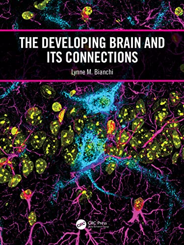 The Developing Brain and Its Connections von CRC Press