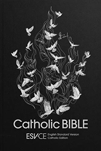 ESV-CE Catholic Bible. The Official Liturgical Bible for England, Wales and Scotland from Advent 24: Anglicized Hardback Edition, English Standard Version – Catholic Edition von SPCK Publishing