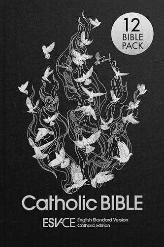ESV-CE Catholic Bible. The Official Liturgical Bible for England, Wales and Scotland from Advent 24 - 12 PACK: Anglicized Hardback Edition, English Standard Version – Catholic Edition ESV-CE Catholic Bible. The Official Liturgical Bible for England, Wales and Scotland from Advent 24 - 12 PACK: Anglicized Hardback Edition, English Standard Version – Catholic Edition von SPCK Publishing