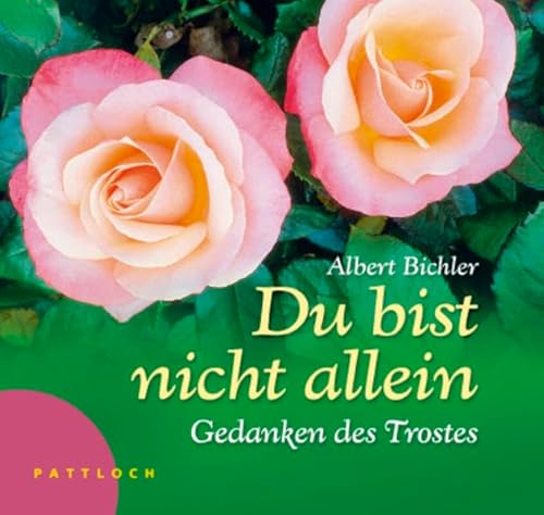 Du bist nicht allein: Trost in der Trauer