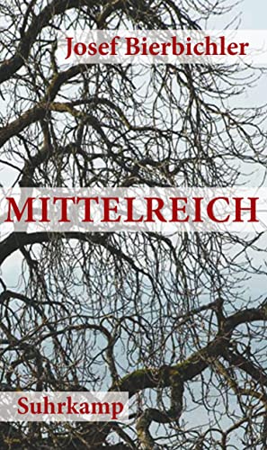 Mittelreich: Roman