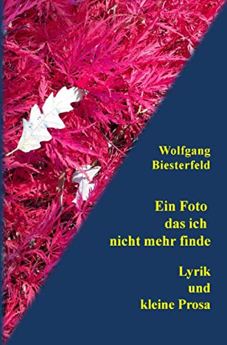 Ein Foto das ich nicht mehr finde: Lyrik und kleine Prosa von Neopubli GmbH