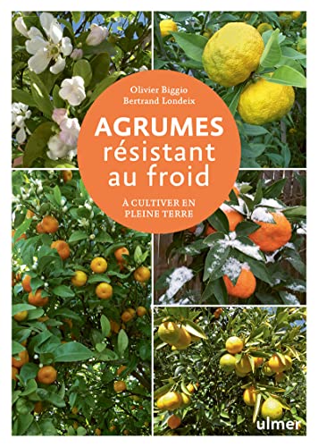 Agrumes résistant au froid - A cultiver en pleine terre von ULMER