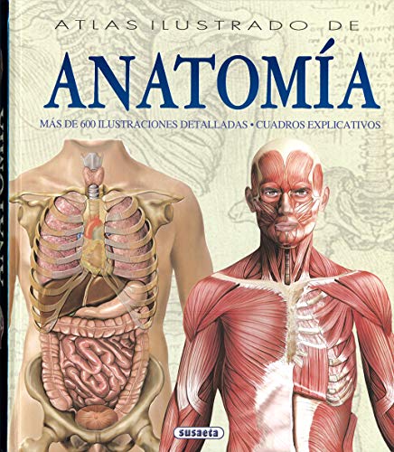 Atlas ilustrado de anatomía von SUSAETA