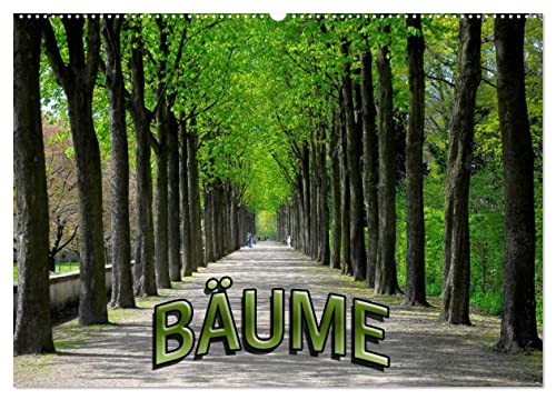 Bäume 2025 (Wandkalender 2025 DIN A2 quer), CALVENDO Monatskalender