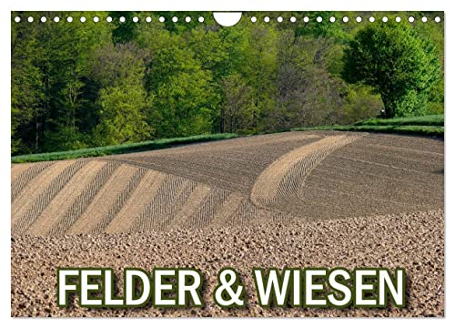 Felder und Wiesen (Wandkalender 2025 DIN A4 quer), CALVENDO Monatskalender von CALVENDO