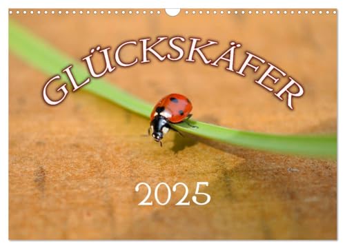 Marienkäfer 2025 (Wandkalender 2025 DIN A3 quer), CALVENDO Monatskalender