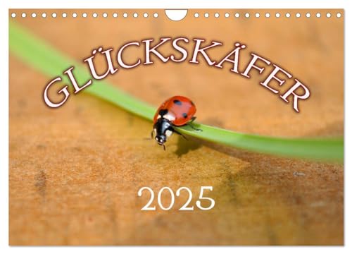 Marienkäfer 2025 (Wandkalender 2025 DIN A4 quer), CALVENDO Monatskalender von CALVENDO