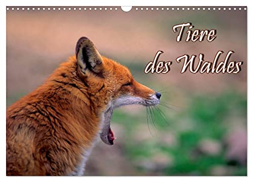 Tiere des Waldes (Wandkalender 2025 DIN A3 quer), CALVENDO Monatskalender von CALVENDO