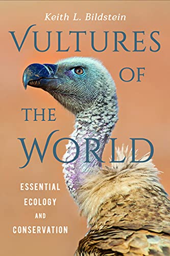 Vultures of the World: Essential Ecology and Conservation von GARDNERS