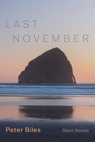 Last November: Short Stories von Resource Publications (CA)