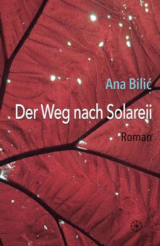 Der Weg nach Solareii: Roman
