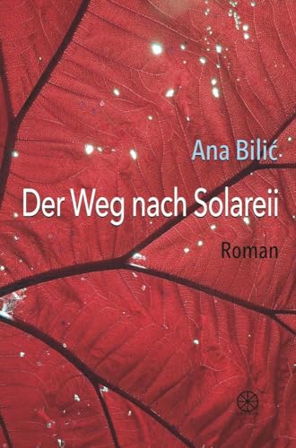 Der Weg nach Solareii: Roman