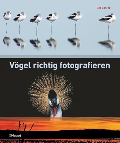 Vögel richtig fotografieren von Haupt Verlag AG