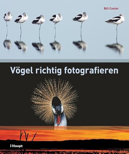 Vögel richtig fotografieren