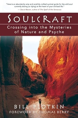 Soulcraft: Crossing into the Mysteries of Nature and Psyche von New World Library