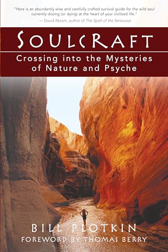 Soulcraft: Crossing into the Mysteries of Nature and Psyche von New World Library